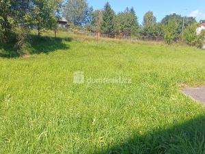 Pronájem bytu 1+1, Benešov nad Ploučnicí, Družstevní, 35 m2