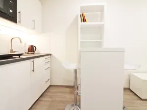 Pronájem bytu 1+kk, Brno - Lesná, Halasovo náměstí, 23 m2