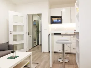 Pronájem bytu 1+kk, Brno - Lesná, Halasovo náměstí, 23 m2