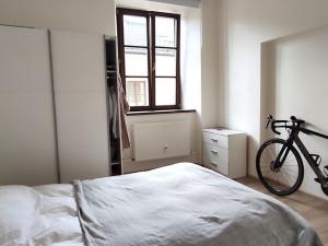 Pronájem bytu 2+kk, Bruntál, Opletalova, 58 m2