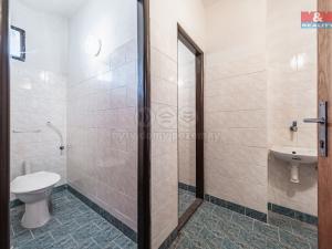 Prodej rodinného domu, Velim - Vítězov, 450 m2