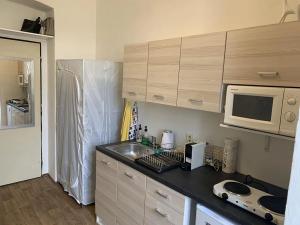 Pronájem bytu 1+kk, Praha - Holešovice, Kamenická, 12 m2