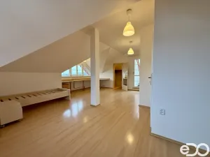 Pronájem bytu 4+kk, Praha, Granátová, 171 m2