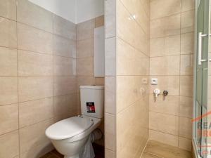 Pronájem bytu 1+kk, Hradec Králové, Jungmannova, 28 m2