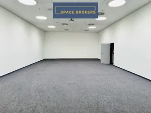 Pronájem obchodního prostoru, Praha, 2228 m2
