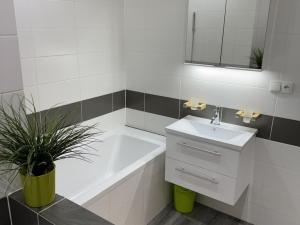 Pronájem bytu 3+1, Most, Javorová, 69 m2