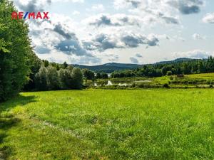Prodej komerčního pozemku, Nová Pec, 16305 m2