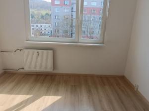 Pronájem bytu 1+1, Děčín - Děčín III-Staré Město, Jezdecká, 36 m2