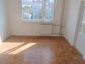 Pronájem bytu 1+1, Děčín - Děčín III-Staré Město, Jezdecká, 36 m2