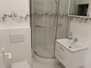 Pronájem bytu 1+1, Děčín - Děčín III-Staré Město, Jezdecká, 36 m2