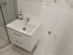 Pronájem bytu 1+1, Děčín - Děčín III-Staré Město, Jezdecká, 36 m2