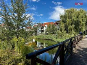 Pronájem bytu 1+kk, Hradec Králové - Nový Hradec Králové, Rybova, 39 m2