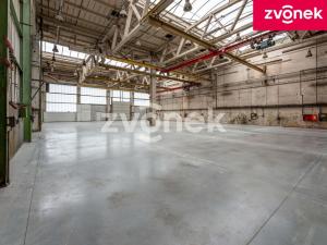 Pronájem výrobních prostor, Holešov, Samostatnost, 945 m2