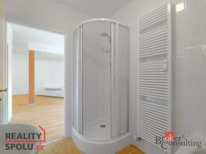Pronájem bytu 3+kk, Trnová, 76 m2