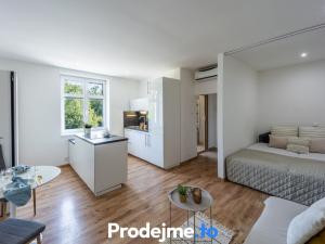 Prodej bytu 1+kk, Znojmo, Růženy Svobodové, 28 m2