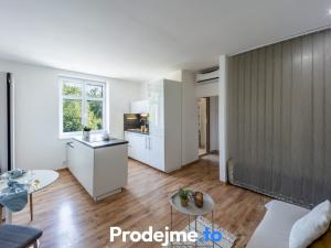 Prodej bytu 1+kk, Znojmo, Růženy Svobodové, 28 m2