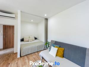 Prodej bytu 1+kk, Znojmo, Růženy Svobodové, 28 m2