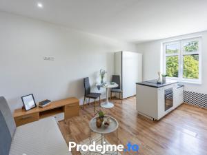 Prodej bytu 1+kk, Znojmo, Růženy Svobodové, 28 m2
