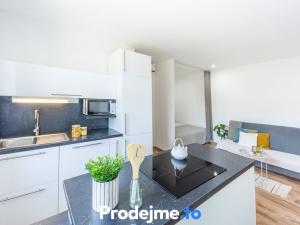 Prodej bytu 1+kk, Znojmo, Růženy Svobodové, 28 m2