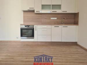 Pronájem bytu 1+kk, České Budějovice - České Budějovice 2, 48 m2