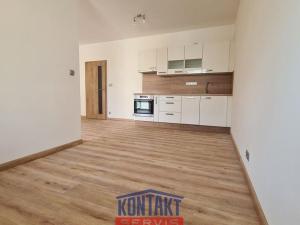 Pronájem bytu 1+kk, České Budějovice - České Budějovice 2, 48 m2
