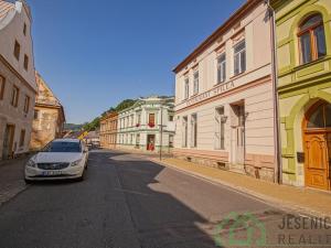 Prodej rodinného domu, Javorník, Míru, 259 m2