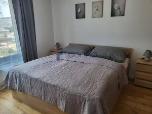 Pronájem bytu 2+kk, Praha, Sokolova, 60 m2