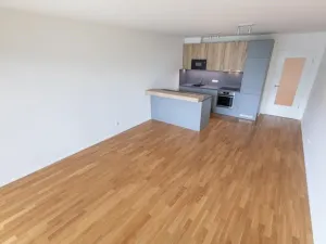 Prodej bytu 3+kk, Praha - Žižkov, Krásova, 78 m2