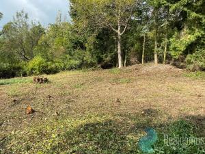 Prodej pozemku pro bydlení, Nová Ves pod Pleší, 680 m2