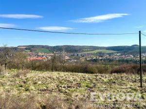 Prodej pozemku pro bydlení, Plasy, 1290 m2