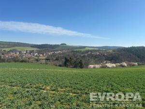 Prodej pozemku pro bydlení, Plasy, 2006 m2