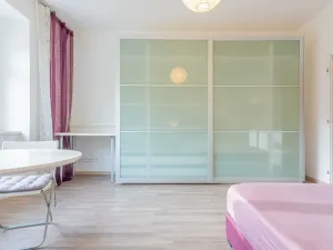 Pronájem bytu 1+1, Praha - Nusle, U Pernštejnských, 29 m2