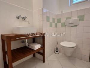 Pronájem atypického bytu, České Budějovice - České Budějovice 5, 20 m2