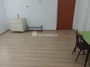 Pronájem bytu 1+kk, Děčín - Děčín IV-Podmokly, Divišova, 20 m2