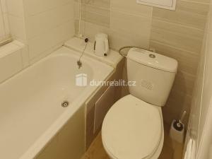 Pronájem bytu 1+kk, Děčín - Děčín IV-Podmokly, Divišova, 20 m2