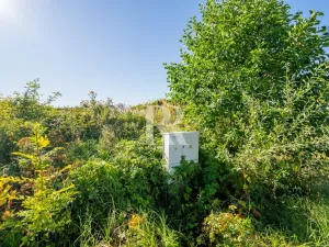 Prodej pozemku pro bydlení, Svojkov, 2412 m2