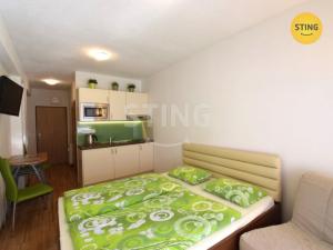 Pronájem bytu 1+kk, Všemina, 24 m2