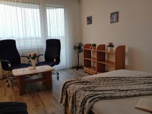 Pronájem bytu 1+1, České Budějovice, Větrná, 36 m2