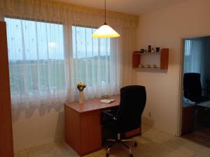 Pronájem bytu 1+1, České Budějovice, Větrná, 36 m2