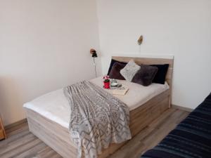 Pronájem bytu 1+1, České Budějovice, Větrná, 36 m2