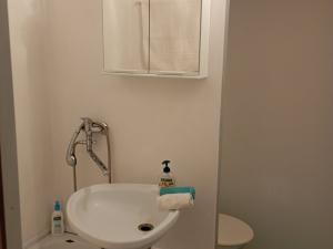 Pronájem bytu 1+1, České Budějovice, Větrná, 36 m2