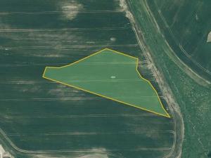 Prodej pole, Dub, 97092 m2