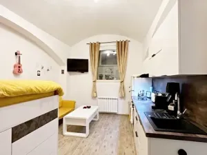 Pronájem bytu 1+kk, Praha - Vinohrady, Rubešova, 24 m2