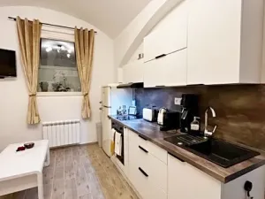 Pronájem bytu 1+kk, Praha - Vinohrady, Rubešova, 24 m2