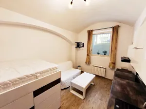 Pronájem bytu 1+kk, Praha - Vinohrady, Rubešova, 24 m2