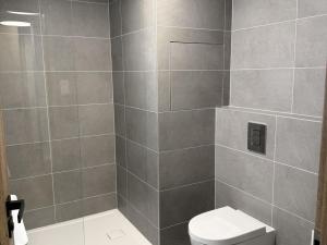 Pronájem bytu 1+kk, Ostrava - Slezská Ostrava, U Hájenky, 34 m2