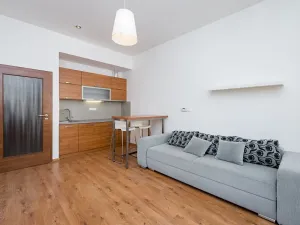 Pronájem bytu 1+kk, Praha - Žižkov, Vlkova, 25 m2