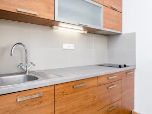 Pronájem bytu 1+kk, Praha - Žižkov, Vlkova, 25 m2
