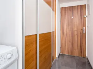 Pronájem bytu 1+kk, Praha - Žižkov, Vlkova, 25 m2