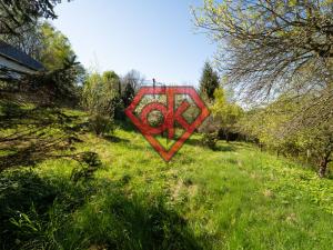 Prodej pozemku pro bydlení, Rybník, 1928 m2